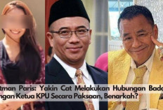 Hotman Paris Geleng-geleng! Benarkah Hubungan Badan CAT dan Ketua KPU Terjadi dengan Paksaan?