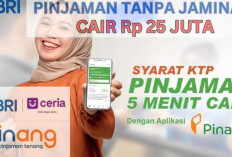 Cara Mudah Dapatkan Modal Usaha, Pinjaman Online BRI Rp 25 Juta dengan Bunga 1.24 Persen Tenor 12 Bulan