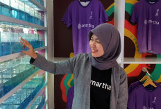 Ikan Cupang Juga Ikut Pesta di Piala Dunia U-17, Nggak Percaya? Ini Penuturan dari Penjualnya