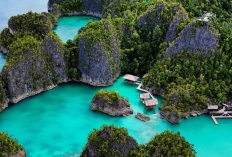 Raja Ampat Destinasi Impian Para Pecinta Laut & Penyelam! Intip Keindahannya!