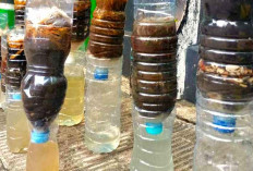 Berikut 9 Metode Penyulingan Air Sungai untuk Kebutuhan Darurat saat di Hutan atau Camping!