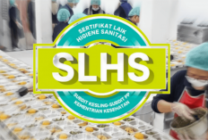 Kacau! Dari 8.583 Dapur MBG, Baru 34 yang Bersertifikat: KSP Qodari Ingatkan Hal Penting ini