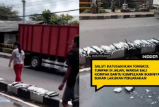 Aksi Heroik Warga Bali Bantu Kecelakaan Mobil Ikan Tanpa Penjarahan, Banjir Pujian di Medsos: Ini Baru Keren