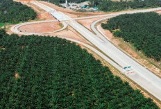 Sejumlah Ruas Tol Sumatera Dicoret dari PSN, Bagaimana Nasib Tol Kapal Betung?
