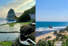 Pantai Gemulung Pacitan, Hidden Gem Eksotis dengan Pesona Alami yang Bikin Terpesona Cocok buat Melepas Penat
