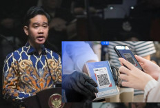 Qris Bikin Amerika Ketar-ketir, Kini Siap Melenggang di Jepang dan Korsel, Gibran: Bukan Jago Kandang