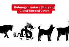 Waspada Ciong! Kenali Hubungan Antar Shio yang Kurang Cocok, Adakah Shiomu?