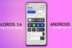 Apa Saja yang Baru di Oppo ColorOS 14, Ini Fitur dan Daftar Perangkat Kebagian Update