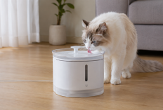 Xiaomi Punya Water Fountain Pintar untuk Kucing, Ada Sterilisasi UV dan Jangan Salah Pilih Versinya