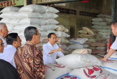 Harga Beras Terus Meroket Catat Rekor Baru, Tertinggi Sepanjang Sejarah, Bapanas Tuding Ini Jadi Biang Kerok!