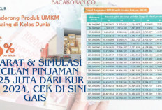 Ayo Bangun Usaha Mikro! Ini Syarat & Simulasi Cicilan Pinjaman Rp25 Juta dari KUR BNI 2024, Cek di Sini Gais