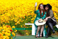 Mengungkap 5 Fakta yang Menunjukkan Bahwa Selfie Dapat Meredakan Tingkat Stres Manusia!