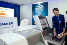 Bisnis Terhambat Modal Usaha yang Kurang? Kartu Kredit Bank BRI Platinum Bisa Cairkan 50 Juta Bunga 0,6 Persen