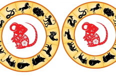 Shio Tikus & Jodohmu! Bongkar Kecocokan Cinta dengan 12 Shio Lain