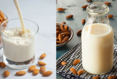 5 Varian Susu Almond Sehat untuk Gaya Hidup Aktif dan Produktif, Minuman Nabati Favorit Gen Z yang Kaya Manfaa
