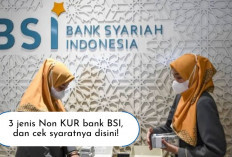 Ternyata Non KUR BSI Ada 3 Jenis Lho, Apa Aja Ya? Bisa Pinjaman 100 Juta dengan Syarat Simple Intip Disini...