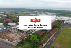 Dibuka Sampai Tahun Baru! PT Tong Tji Menerima 2 Posisi Lowongan Kerja, Disini Daftarnya