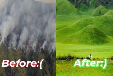 Dinobatkan Jadi Taman Nasional Tercantik di Dunia, Bromo Tampakkan 'Wajah Baru' Pasca Kebakaran!