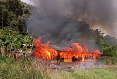 Batal! Pemilu 2024 di Paniai ditujuh Distrik, Ini Penyebabnya