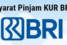 Cocok Untuk Milenial! Pinjam 50 Juta di KUR BRI Super Mikro Menjadi Solusi Terbaik, Apa Ya Syaratnya?