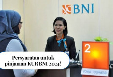 Syaratnya Segampang ini Ternyata untuk Modal Usaha di KUR BNI 2024! Ajukan Sekarang Limit Pinjaman 500 Juta...