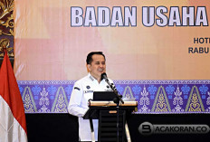 Dorong Pengembangan BUMD di Sumsel, Pj Gubernur Agus Fatoni Buka Bimtek Penyusunan Renbis dan RKA BUMD