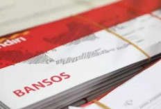 Cair! Begini Cara Cek Bansos Rp600 Ribu PKH, BPNT dan BSU Lewat Website dan Aplikasi, Sudah Terdaftar?