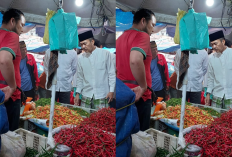 Kian Pedas! Harga Cabe Tembus Rp 80 ribu per Kilogram