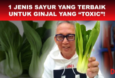 5 Sayur yang Wajib Dikonsumsi Penderita Penyakit Ginjal, Nomor 1 Sering Dijadikan Lalapan, Yuk Simak!