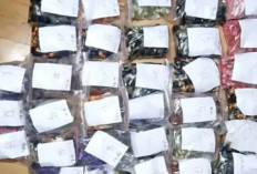 Geger! Ribuan Cartridge Etomidate Disita di Kalibata City, Polisi Bongkar Jaringan Gelap