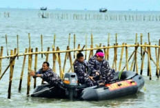 Pagar Laut di Tangerang Dicabut Oleh 600 Anggota TNI AL dan Warga, Penyelidikan Tetap Dilanjutkan!