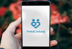 Netizen Auto Panik, Dialihkan ke Situs Judi Online Ini saat Akses Pedulilindungi yang Diretas Hacker!