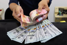 Rupiah Dibuka Lanjut Loyo Pagi Ini, Sentimen AS dan Jepang Ini Jadi Pemicu!