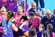 Pink Spiders Makin Ganas! Kalahkan Hi-Pass Tanpa Ampun di Liga Voli Korea 2024/2025