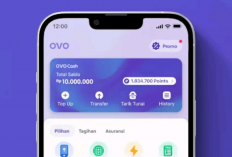 Makin Gacor Bosku, Game Penghasil Saldo OVO Gratis Hari Ini Bisa Klaim Rp342 Ribu Pakai Trik Rahasia Ini...