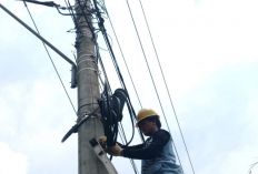 PLN Icon Plus Jaga Kualitas Fiber Optik dengan Rutin Melakukan Perapian