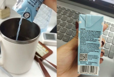 MBG Bogor Viral Lagi! Susu Diganti Minuman 'Rasa Susu' Impor China untuk Anak TK, Kandungan Air 86 Persen