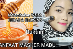 3 Racikan Masker Madu yang Bisa Bikin Wajah Glowing, Cerah dan Hilangkan Flek Hitam, Begini Caranya Gais!