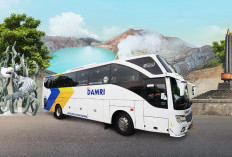 Libur Panjang Akhir Pekan, Penumpang DAMRI Transjawa Meroket, Tembus Segini dalam Sehari
