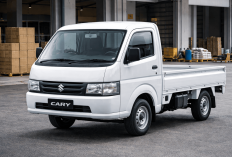Suzuki Carry 2026 Kapasitas Angkut Besar: Cocok untuk UMKM hingga Distribusi Skala Kecil