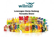 Lulusan D3 Boleh Daftar! Wilmar Group Buka 5 Lowongan Kerja Terbaru Untuk Posisi Ini, Lamar Sekarang Juga