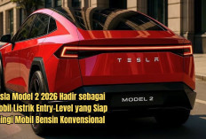 Tesla Model 2 2026 Hadir sebagai Mobil Listrik Entry-Level yang Siap Menjadi Pesaing Mobil Bensin Konvensional