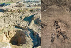 Irak Gali Kuburan Massal ISIS di Mosul, Diperkirakan Berisi 4.000 Jasad Korban Kekejaman