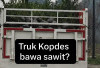 Viral Truk Kopdes Angkut Benih Kelapa Sawit, Netizen Tanya Mau Dibawa ke Mana?