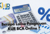 Berapa Lama Pengajuan KUR BCA Online? Cek Proses, Syarat dan Cara Cepat Disetujui Disini!
