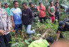 Diduga Curi Sawit, Leher Putus Dib4cok Pemilik Kebun, Pelaku Menyerahkan Diri