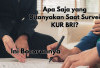 Apa Saja yang Ditanyakan Saat Survei KUR BRI? Ini Bocorannya