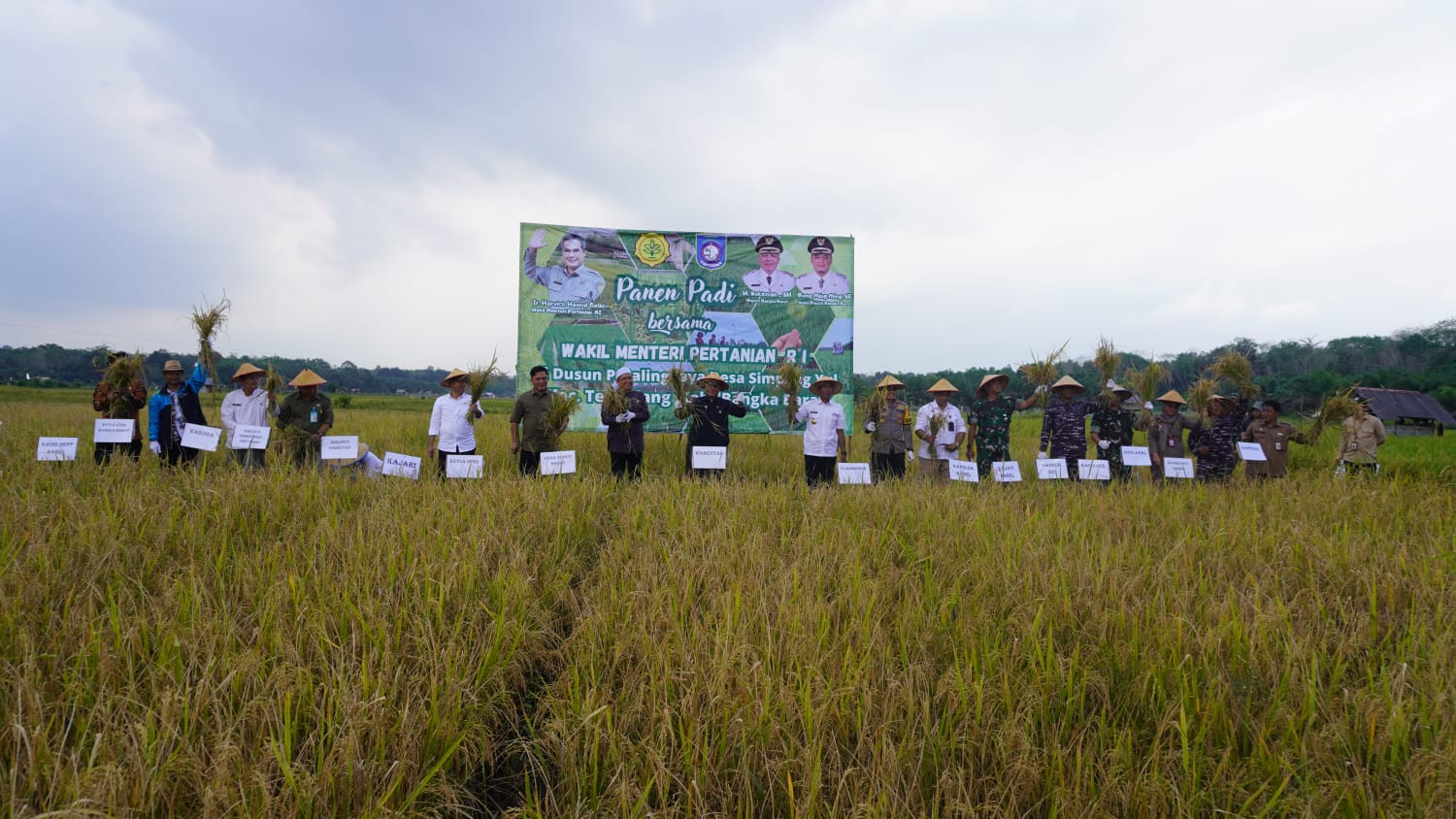Ini Seruan Wamentan kepada Daerah untuk Perkuat Pangan Nasional