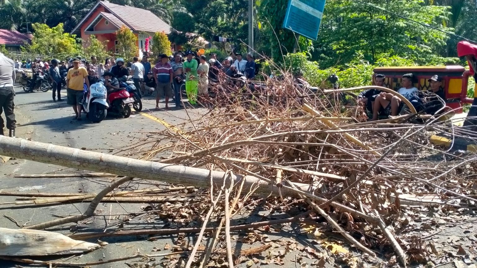 Konflik Nelayan Tradisional vs Nelayan Trawl