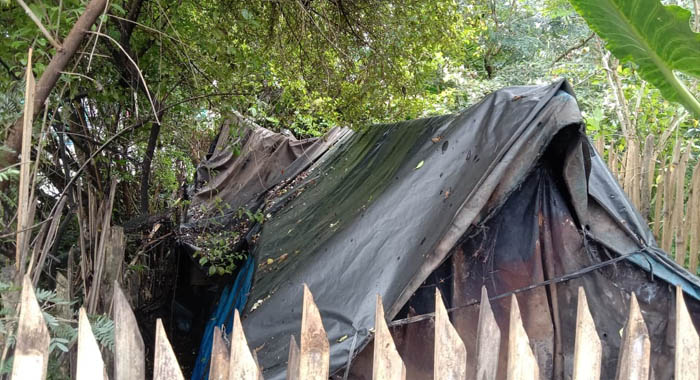 Miris, Wanita Parubaya Huni Gubuk Beratap Terpal